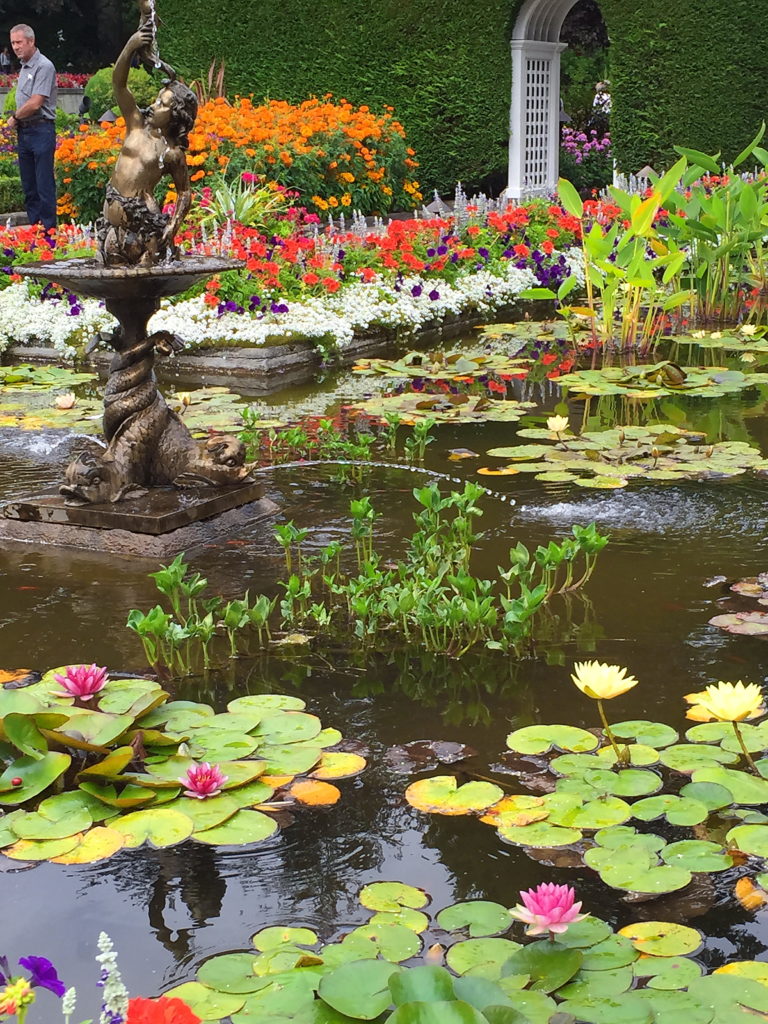 The Italian garden lily pond